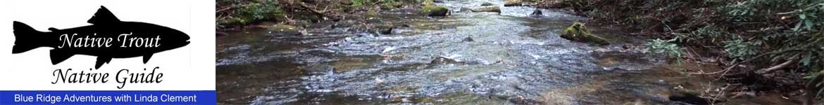 Trout fishing with Linda Clement in north Georgia